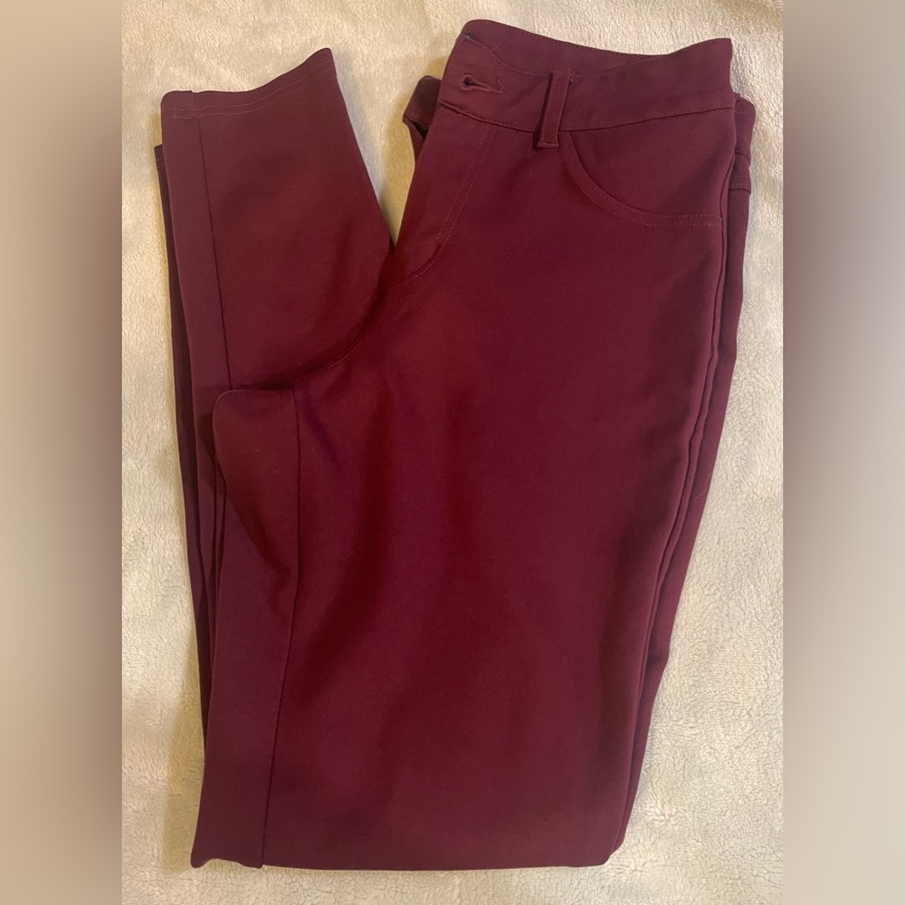Dictionary Plum Color Jeggins NWOT